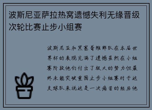 波斯尼亚萨拉热窝遗憾失利无缘晋级次轮比赛止步小组赛